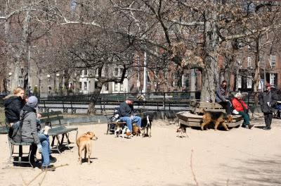 Dog Run at Washington Square Park photo 2